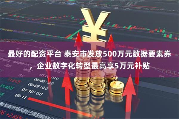 最好的配资平台 泰安市发放500万元数据要素券，企业数字化转型最高享5万元补贴