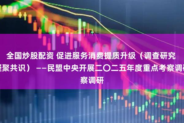全国炒股配资 促进服务消费提质升级（调查研究 凝聚共识） ——民盟中央开展二〇二五年度重点考察调研